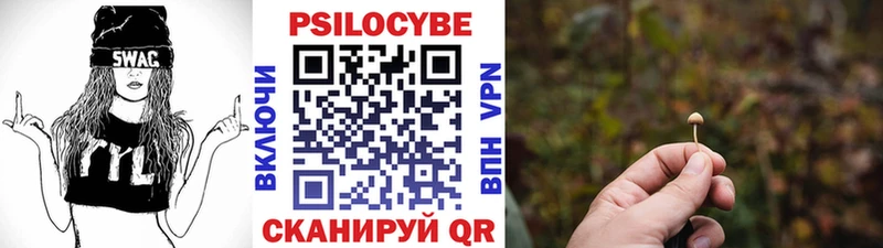 где купить   Крымск  ссылка на мегу ссылки  Галлюциногенные грибы MAGIC MUSHROOMS 