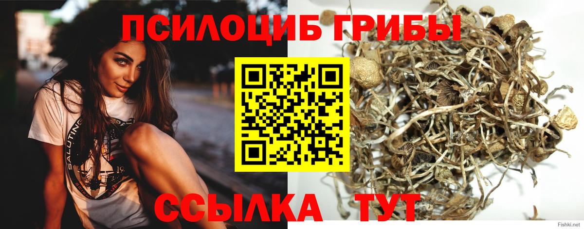 Псилоцибиновые грибы мухоморы Крымск